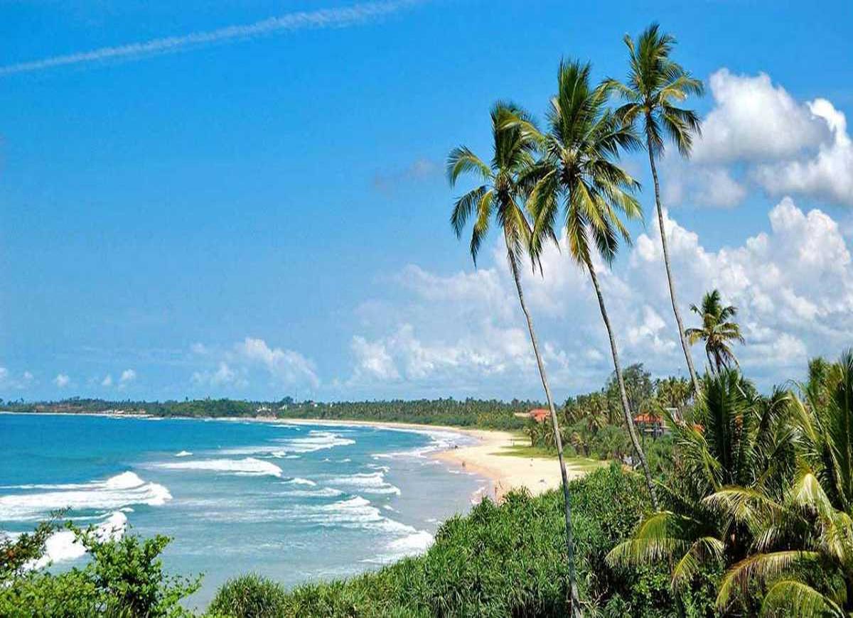 resized_BENTOTA